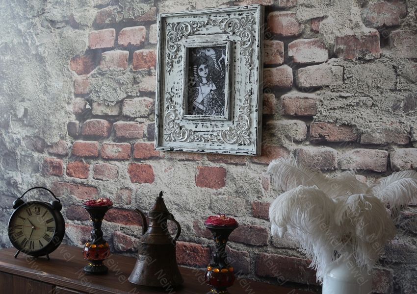 Neiwel Vintage Dorra Resim ve Ayna Çerçevesi